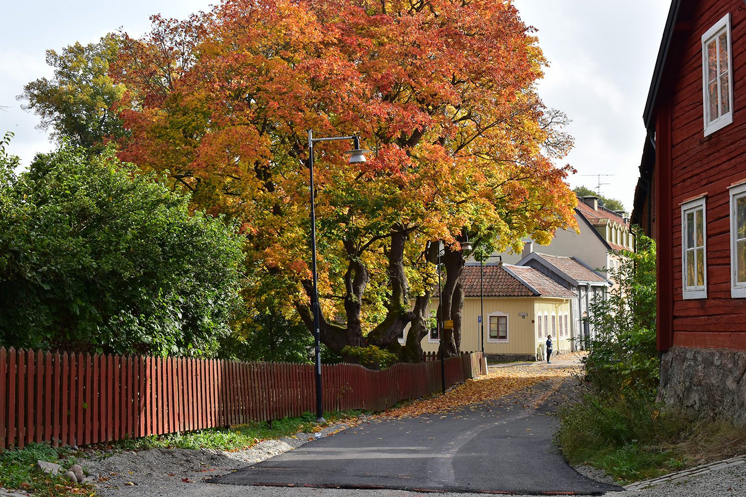 Köping